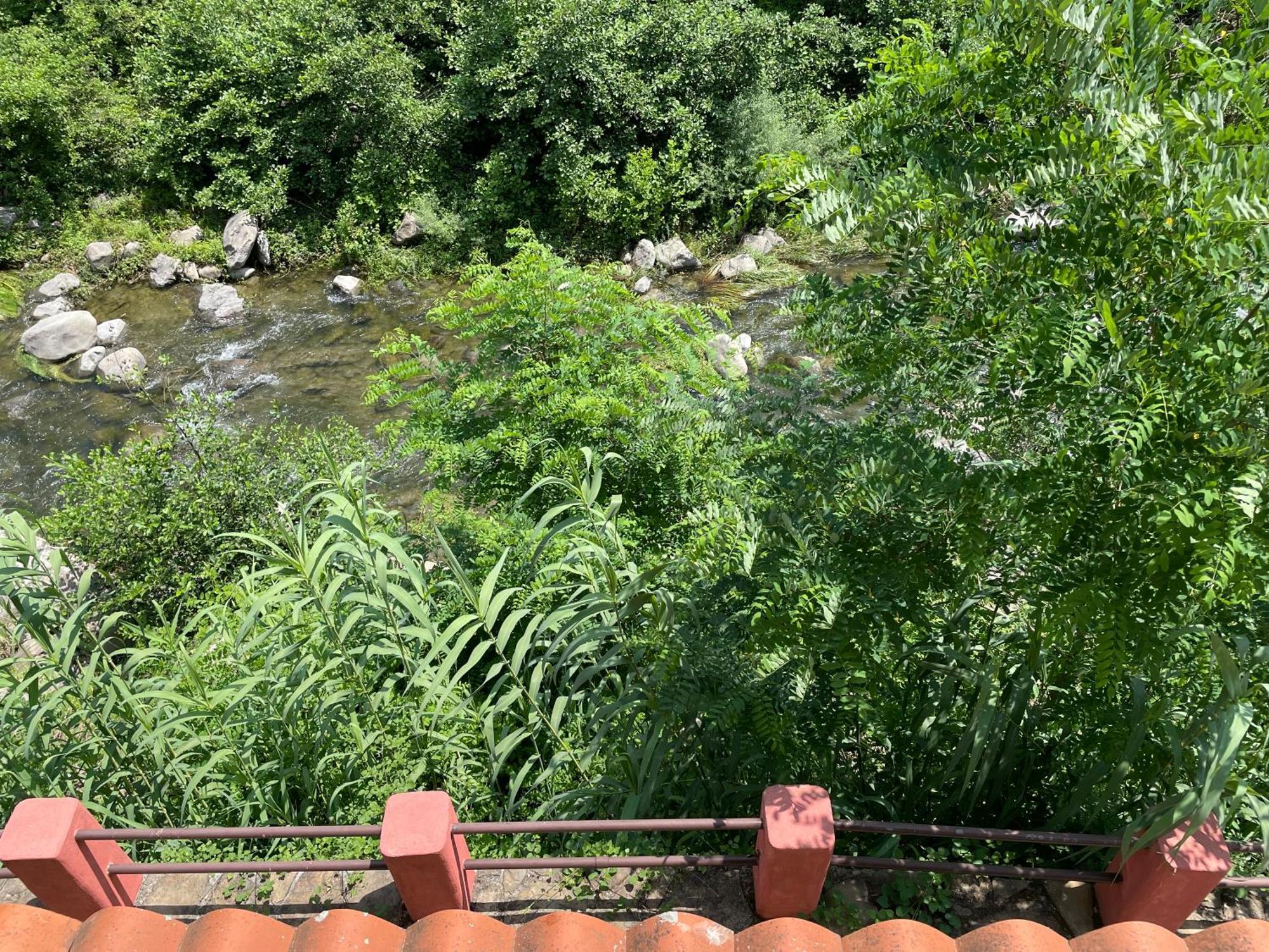 Agriturismo Del Gao Isolabona Zewnętrze zdjęcie